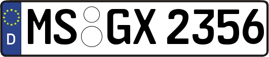 MS-GX2356