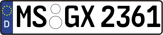 MS-GX2361