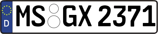 MS-GX2371