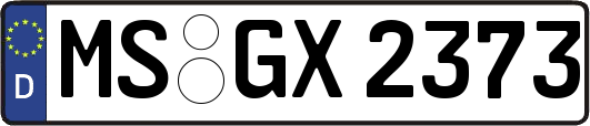 MS-GX2373