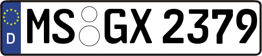 MS-GX2379