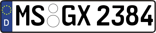 MS-GX2384