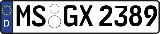 MS-GX2389