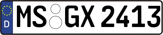 MS-GX2413