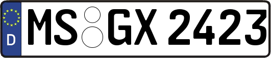 MS-GX2423