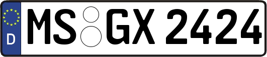 MS-GX2424