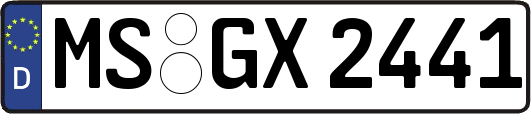 MS-GX2441
