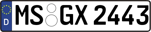 MS-GX2443