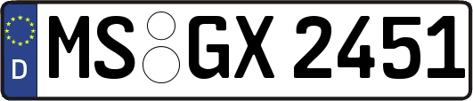 MS-GX2451
