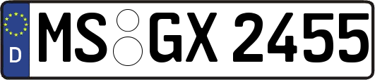 MS-GX2455