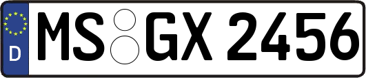 MS-GX2456