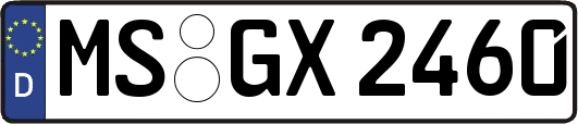 MS-GX2460