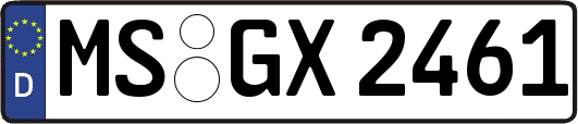 MS-GX2461