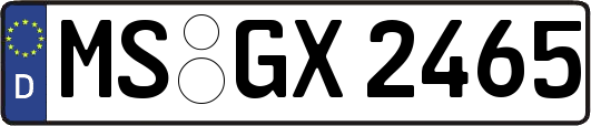 MS-GX2465