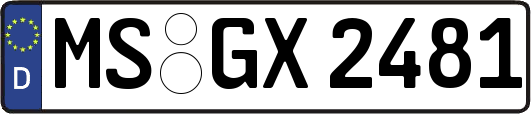 MS-GX2481