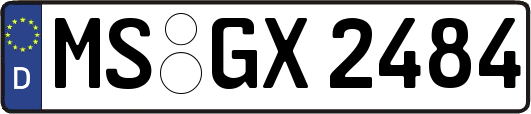 MS-GX2484