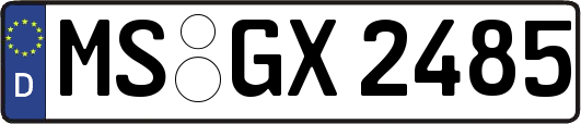 MS-GX2485