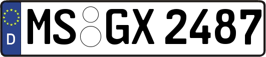 MS-GX2487