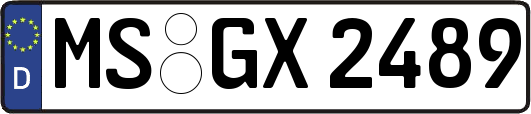 MS-GX2489