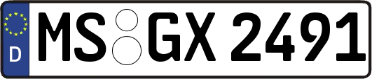 MS-GX2491