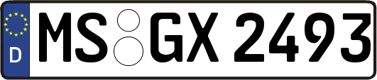 MS-GX2493