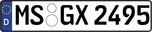 MS-GX2495