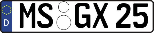 MS-GX25