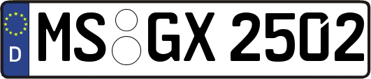 MS-GX2502