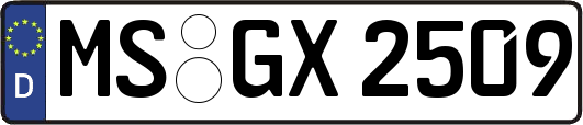 MS-GX2509