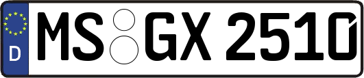 MS-GX2510