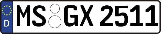 MS-GX2511