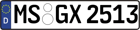 MS-GX2513