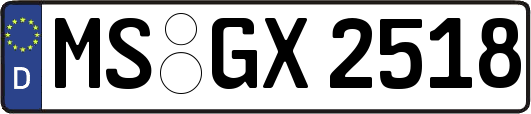 MS-GX2518