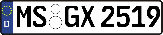 MS-GX2519