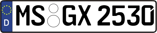 MS-GX2530
