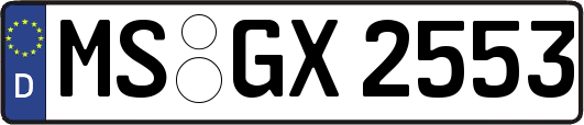 MS-GX2553