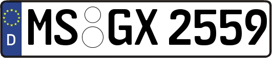 MS-GX2559