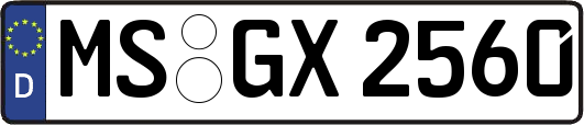 MS-GX2560