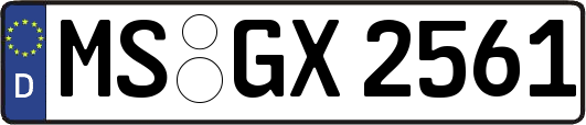 MS-GX2561