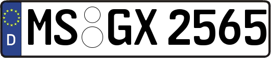 MS-GX2565
