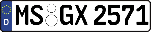 MS-GX2571
