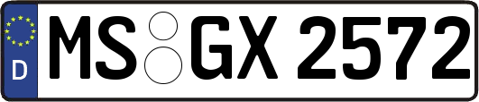MS-GX2572
