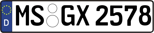 MS-GX2578