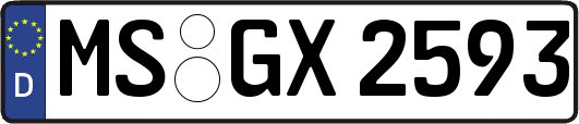 MS-GX2593