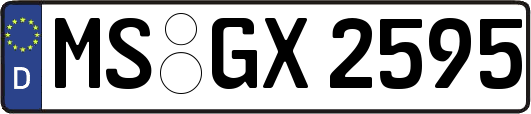 MS-GX2595