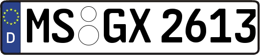 MS-GX2613