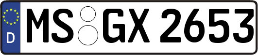 MS-GX2653