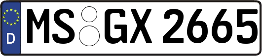 MS-GX2665