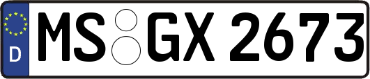 MS-GX2673