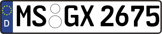 MS-GX2675